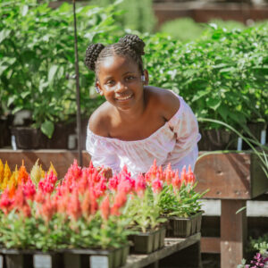 Cotton Poplin Versatile Dress